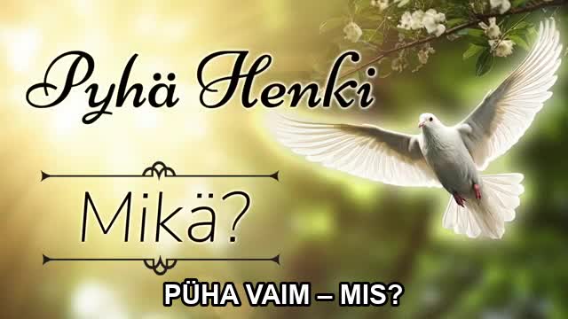 PÜHAVAIM MIS – Teppo Salmela